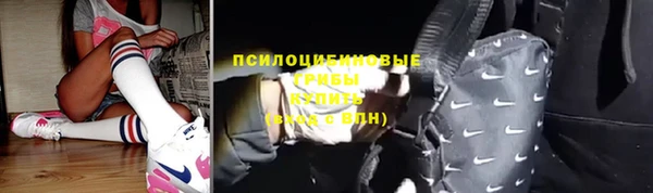 прущий лед Алексеевка
