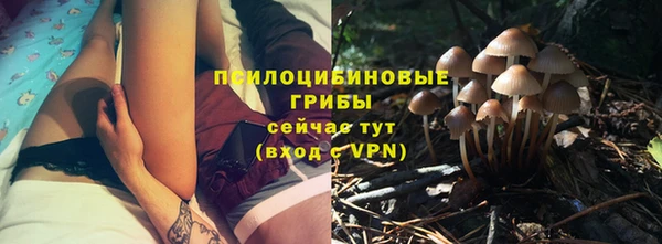 прущий лед Алексеевка