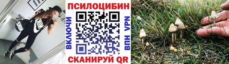 Псилоцибиновые грибы Magic Shrooms купить сайты Бакал